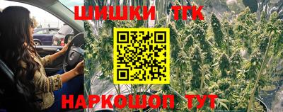 индика Бийск