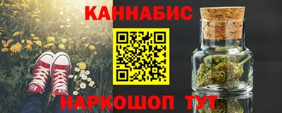 индика Бийск