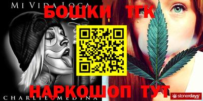 индика Бийск