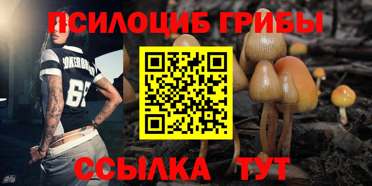 Галлюциногенные грибы Psilocybine cubensis Орехово-Зуево