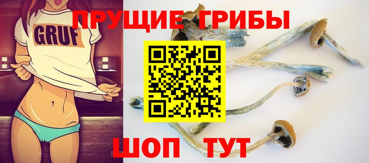 Псилоцибиновые грибы GOLDEN TEACHER Орехово-Зуево